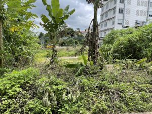 Đất nền hẻm Trần Phú Phường Blao Bảo Lộc Lâm Đồng