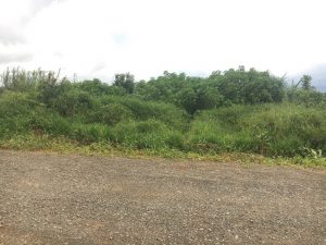 Đất nền mặt tiền hẻm 75 Trần Tế Xương Dambri Bảo Lộc Lâm Đồng