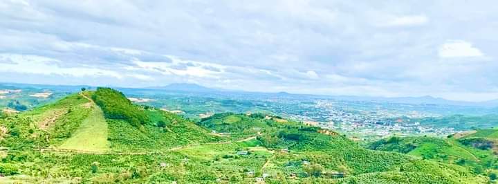 Bán đất vườn giá rẻ 1,1 ha thôn 2 Đại Lào Bảo Lộc Lâm Đồng