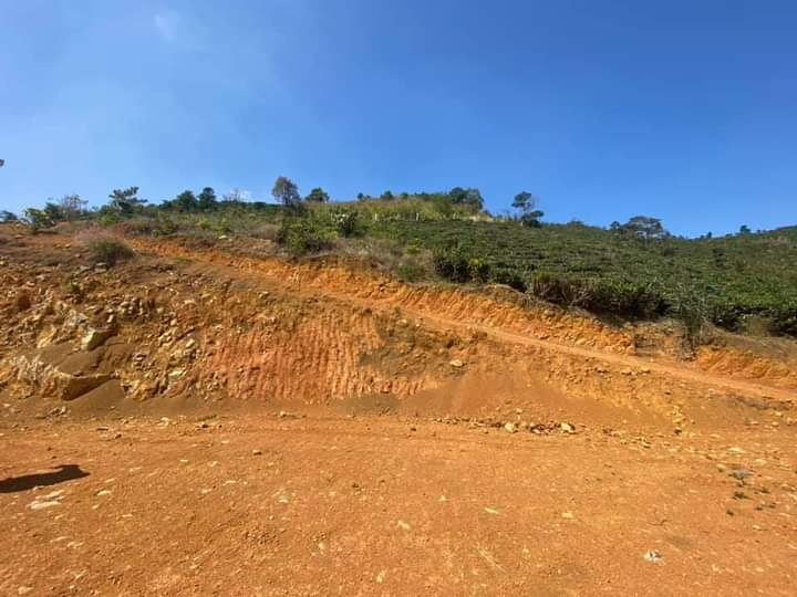 Bán đất vườn giá rẻ 1,1 ha thôn 2 Đại Lào Bảo Lộc Lâm Đồng