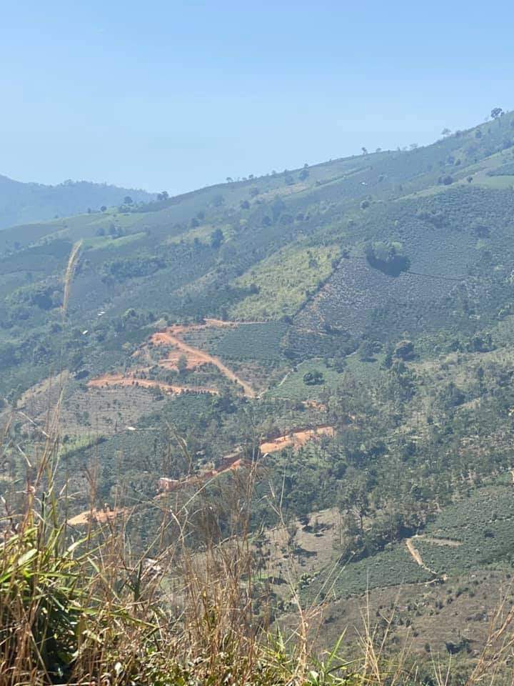 Bán đất vườn giá rẻ 1,1 ha thôn 2 Đại Lào Bảo Lộc Lâm Đồng