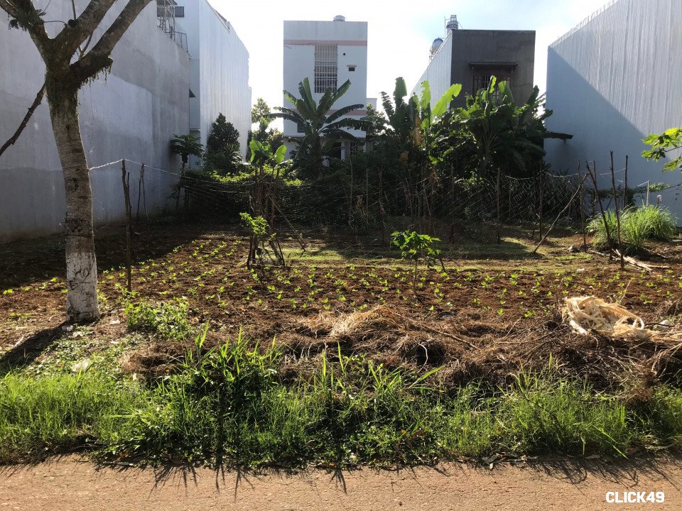 Đất nền Mặt tiền Đường Hoàng Văn Thụ Phường 1 Bảo Lộc