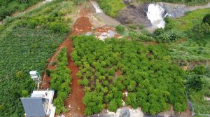 Bán 3,2 sào đất ôm Thác Kvan Lộc Nga Bảo Lộc Lâm Đồng