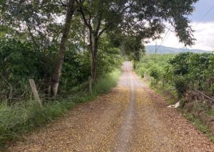 Đất nền giá rẻ Thôn 13 Lộc Thành Bảo Lâm