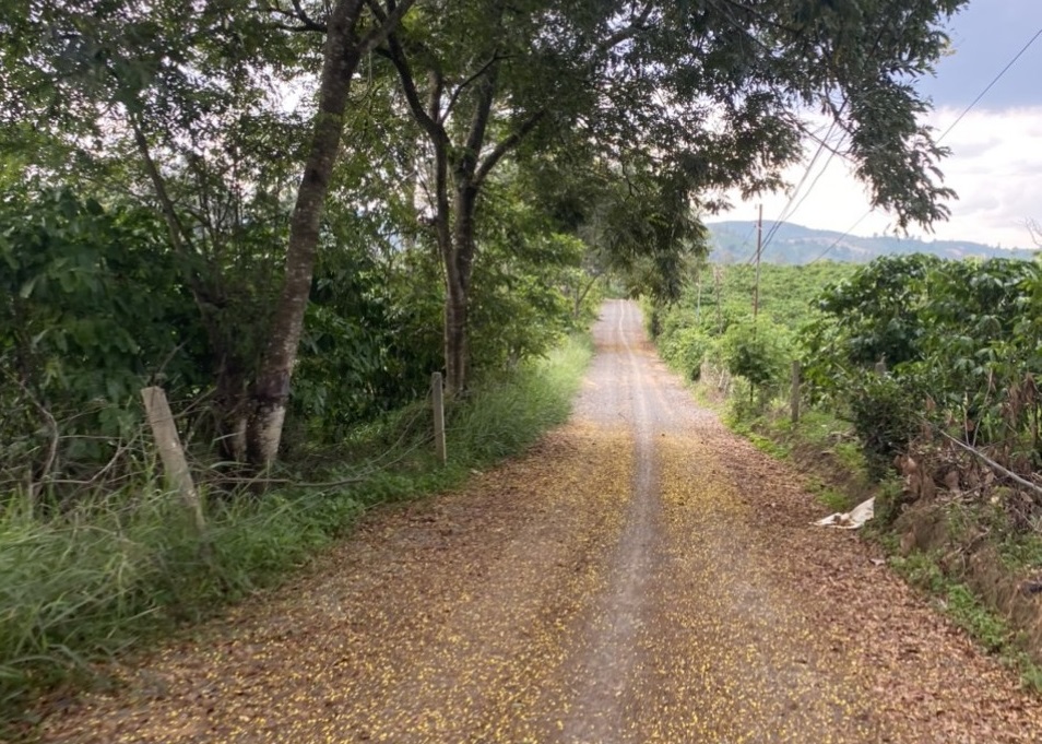 Đất nền giá rẻ Thôn 13 Lộc Thành Bảo Lâm