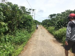 4 sào cafe hẻm 106 Đoàn thị điểm Lộc Thanh Bảo Lộc Lâm Đồng