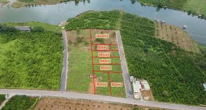 Bán 4,6 sào đất Giáp Hồ Mai Thành mặt tiền Lê Thị Riêng Lộc Châu Bảo Lộc