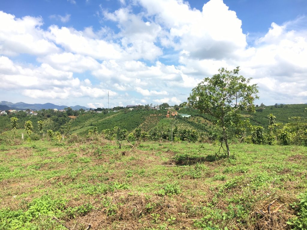 Đất nền mặt tiền Đường số 3 Phùng Hưng Lộc Tân