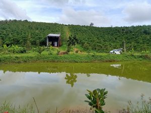 Bán vườn trái cây nghỉ dưỡng tại Lộc Nam Bảo Lâm