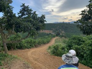 Bán 9,3 sào vườn Cafe Thôn 2 Tân Lạc Bảo Lâm