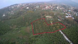 Bán 4,3 sào vườn cây ăn trái Hẻm 870 Quốc lộ 20, Lộc Châu Bảo Lộc