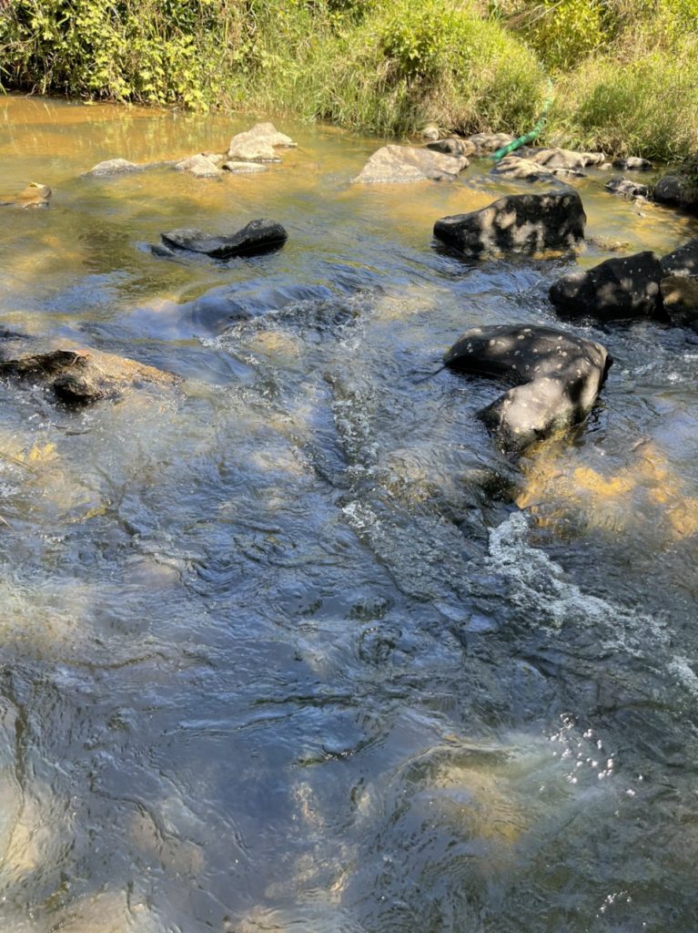 Bán 6 hecta vườn cafe - suối tại thị trấn Lộc Thắng Bảo Lâm