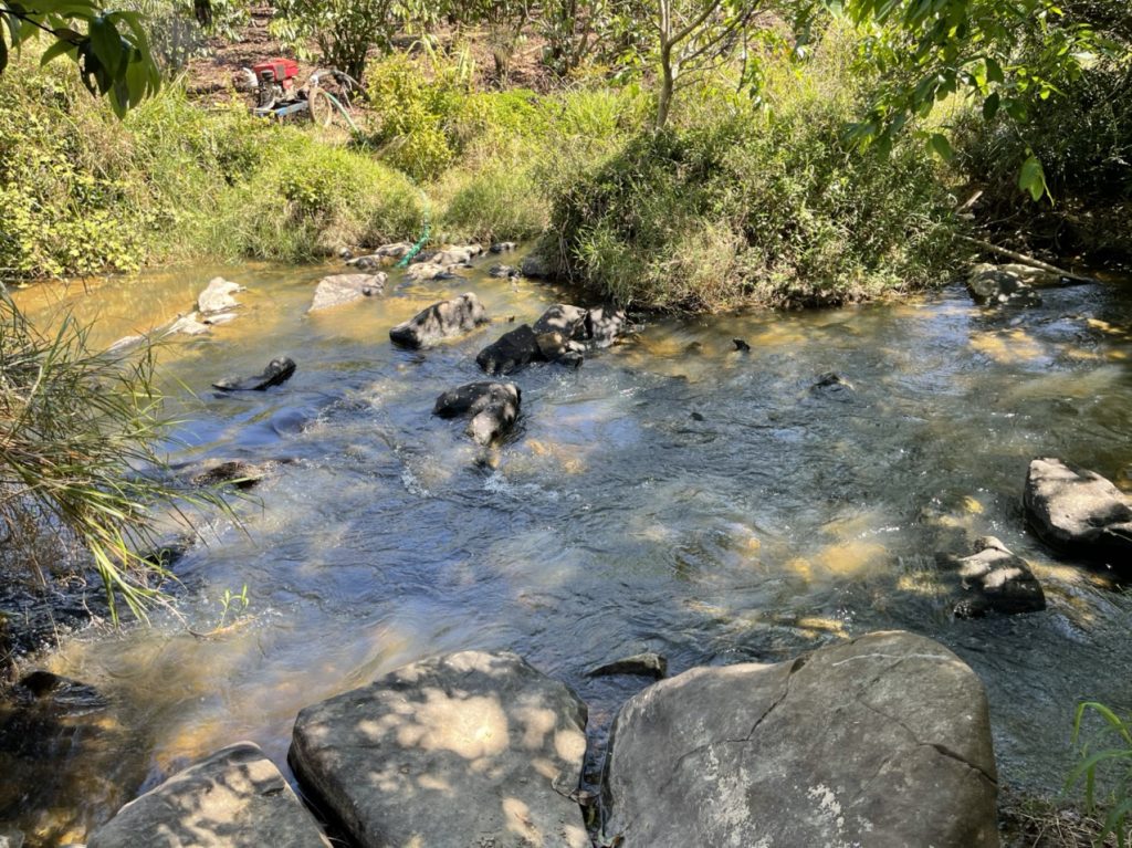 Bán 6 hecta vườn cafe - suối tại thị trấn Lộc Thắng Bảo Lâm