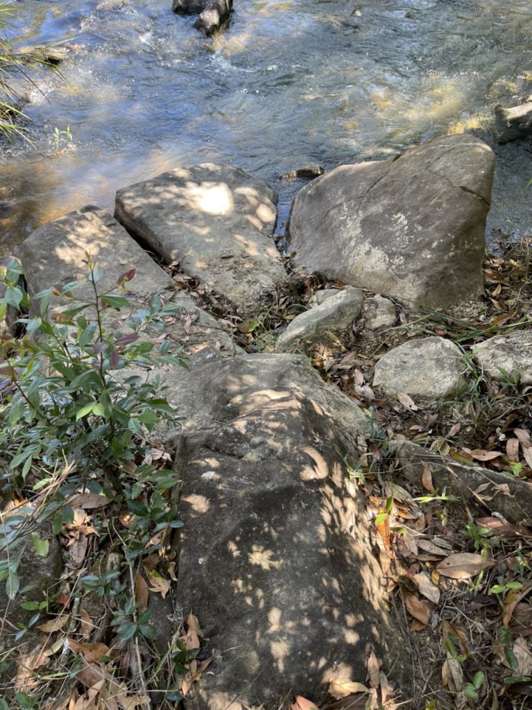 Bán 6 hecta vườn cafe - suối tại thị trấn Lộc Thắng Bảo Lâm