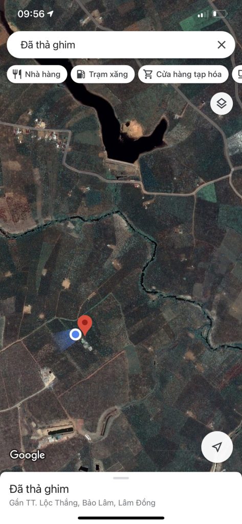 Bán 6 hecta vườn cafe - suối tại thị trấn Lộc Thắng Bảo Lâm