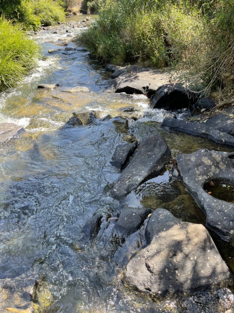 Bán 6 hecta vườn cafe - suối tại thị trấn Lộc Thắng Bảo Lâm