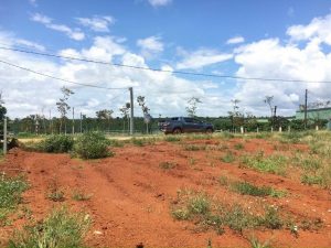 Bán 5 sào đối diện khu phân lô 70 Dambri Bảo Lộc Lâm Đồng