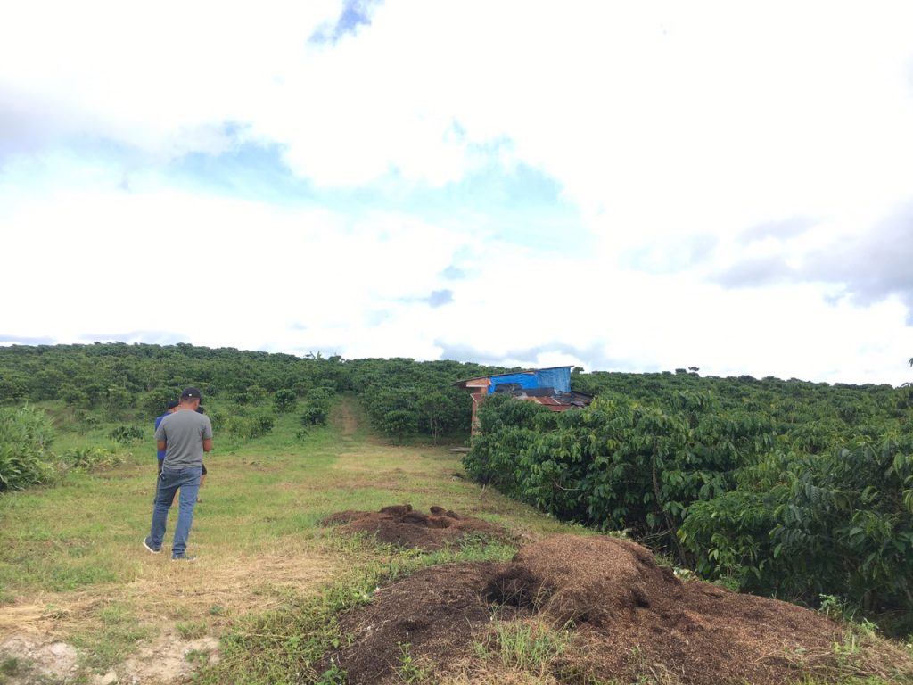 Bán 8,7 sào có 30m mặt tiền đường chính thôn 7 Lộc Ngãi Bảo Lâm Lâm Đồng