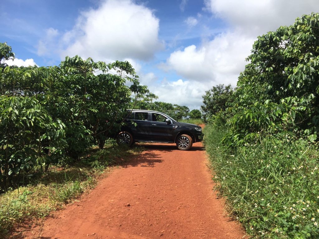 Bán 8,7 sào có 30m mặt tiền đường chính thôn 7 Lộc Ngãi Bảo Lâm Lâm Đồng