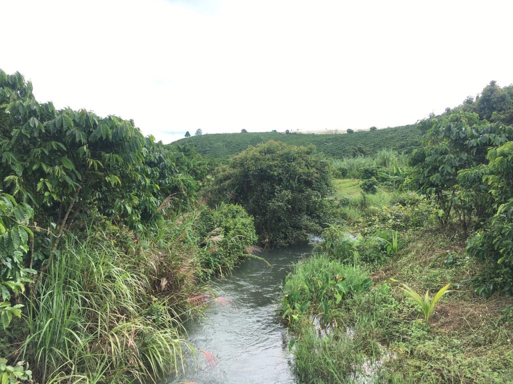 Bán 8,7 sào có 30m mặt tiền đường chính thôn 7 Lộc Ngãi Bảo Lâm Lâm Đồng