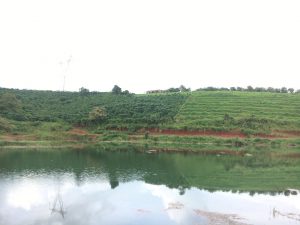 Bán vườn siêu phẩm nghỉ dưỡng Hồ Socola Lộc Phát Bảo Lộc Lâm Đồng