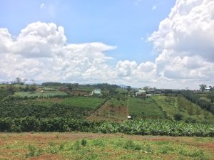 Bán 4.1 sào đất hẻm Lý Thái Tổ Đambri Bảo Lộc Lâm Đồng