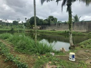 Đất vườn nghỉ dưỡng Nguyễn Viết Xuân Đambri Bảo Lộc