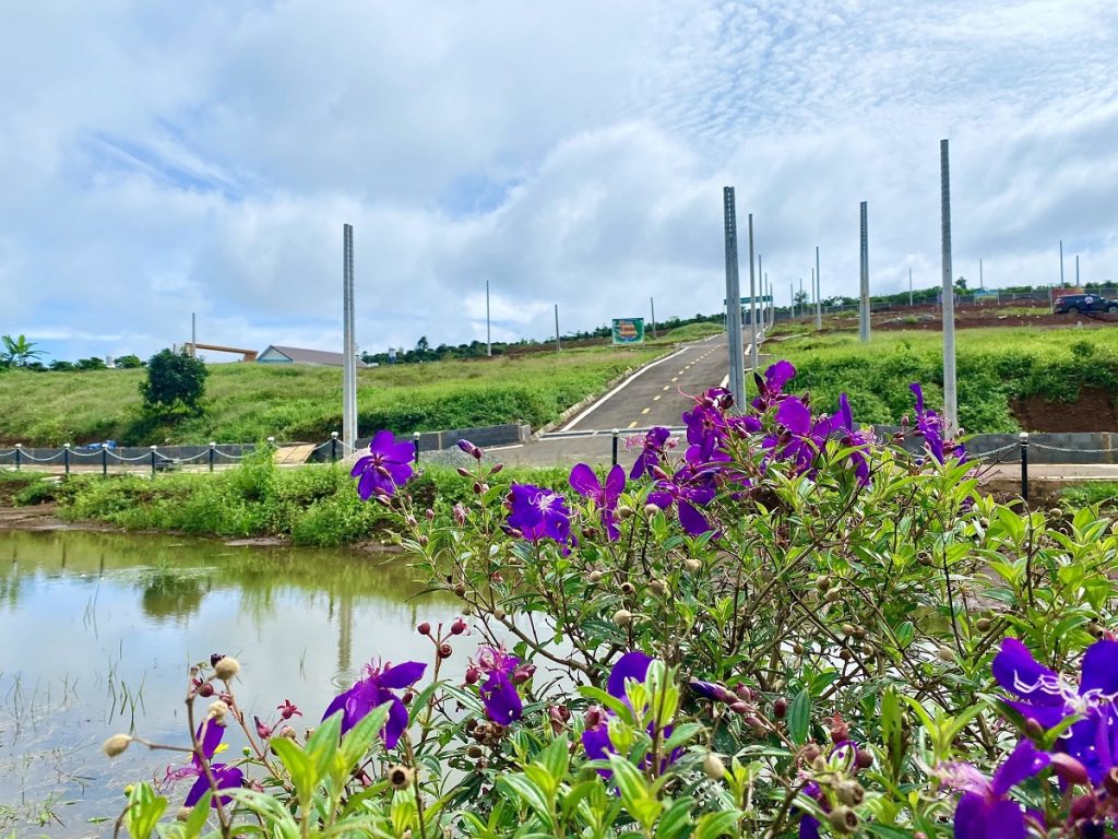 Đất nền Phố Hoa Hillside - Tôn Thất Thuyết Dambri Bảo Lộc Lâm Đồng