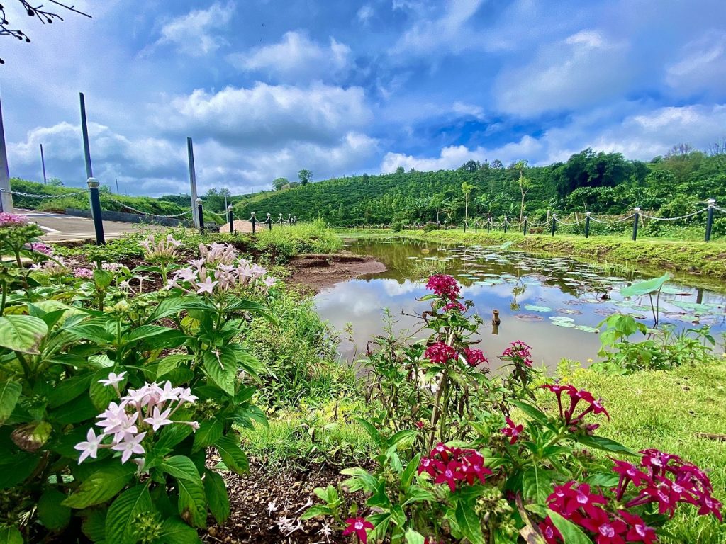 Đất nền Phố Hoa Hillside - Tôn Thất Thuyết Dambri Bảo Lộc Lâm Đồng