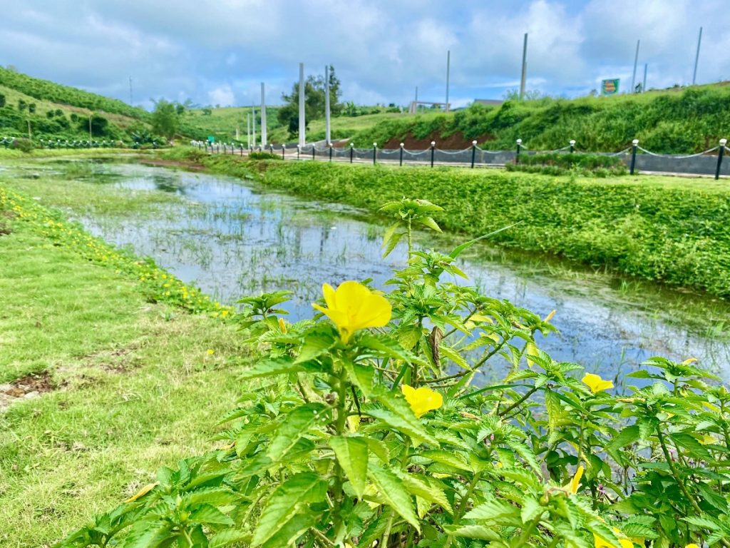 Đất nền Phố Hoa Hillside - Tôn Thất Thuyết Dambri Bảo Lộc Lâm Đồng