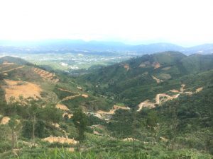 3,3 ha Thôn 10a Lộc Thành Bảo Lâm Lâm Đồng