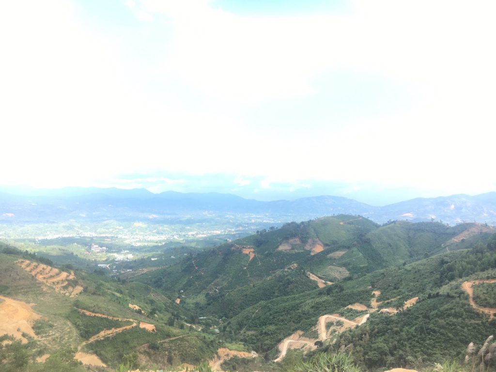 3,3 ha Thôn 10a Lộc Thành Bảo Lâm Lâm Đồng