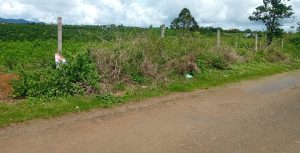 Đất nền mặt tiền Trần Nhật Duật Dambri Bảo Lộc Lâm Đồng