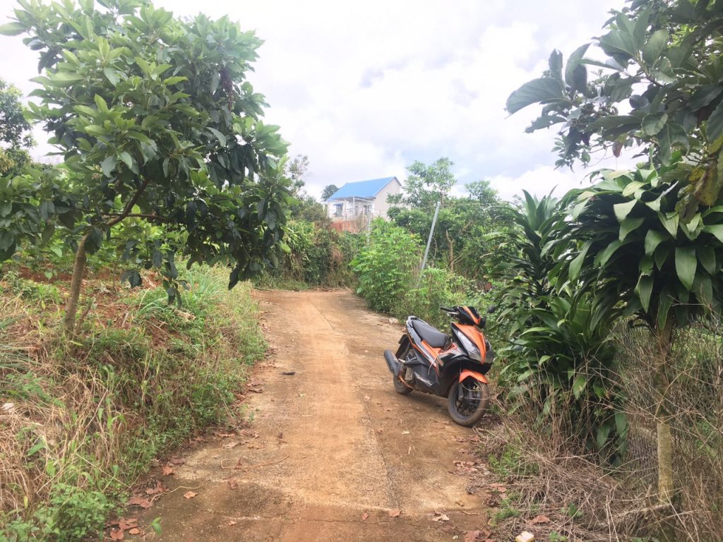 Bán 8 sào có 56m mặt tiền hẻm bê tông Nguyễn An Ninh Dambri Bảo Lộc Lâm Đồng