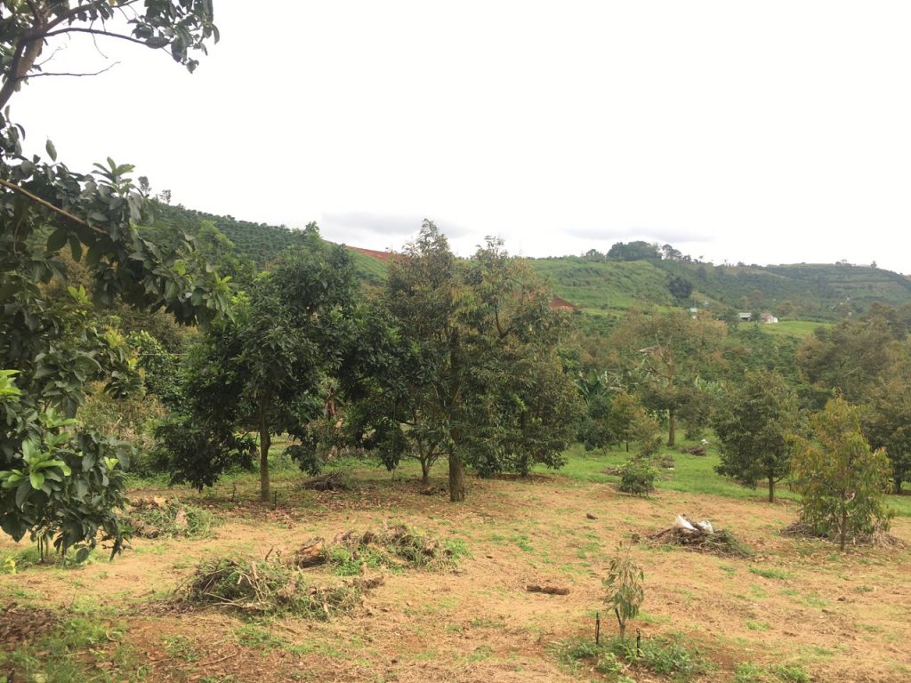 Bán 8 sào có 56m mặt tiền hẻm bê tông Nguyễn An Ninh Dambri Bảo Lộc Lâm Đồng