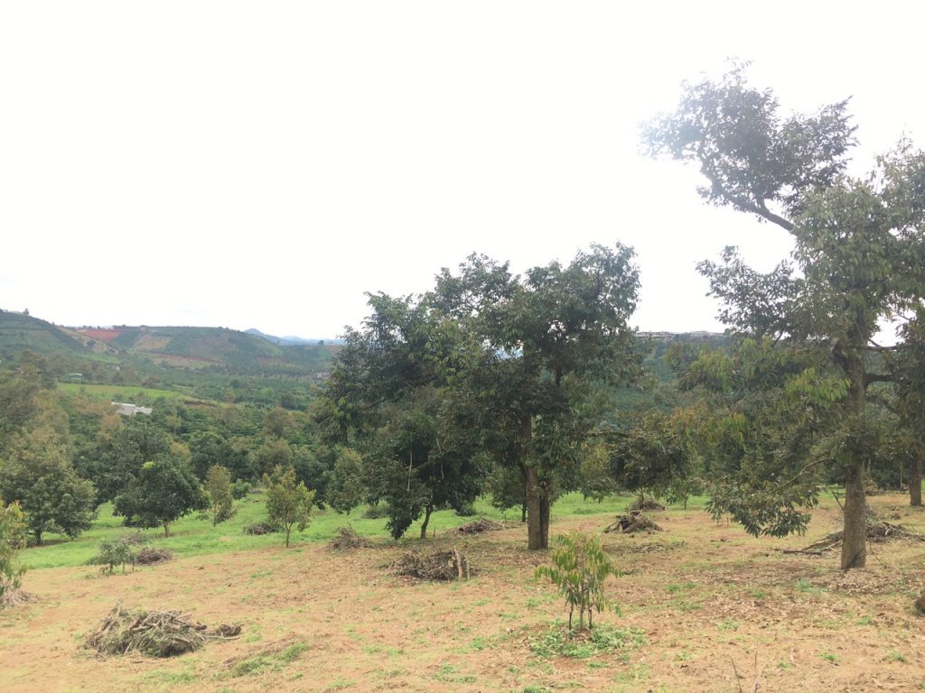 Bán 8 sào có 56m mặt tiền hẻm bê tông Nguyễn An Ninh Dambri Bảo Lộc Lâm Đồng