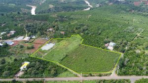 1,9 ha mặt tiền Trịnh Hoài Đức Lộc Nga Bảo Lộc