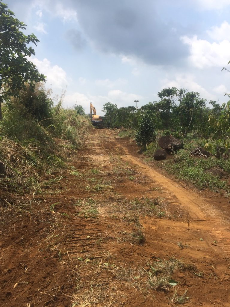 Bán 3 ha Lộc Tân Bảo Lâm Lâm Đồng