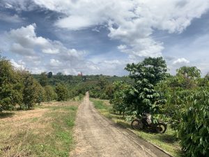 Bán 4,5 sào đất vườn hẻm Quốc lộ 20 Lộc Châu Bảo Lộc