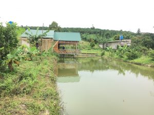 Bán 7,4 sào Vườn cây ăn trái tại hẻm Lạc Long Quân Lộc Nga Bảo Lộc