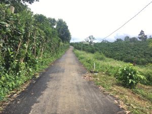 Bán 4,4 sào Hẻm 58 Cao Bá Quát Lộc Phát Bảo Lộc Lâm Đồng