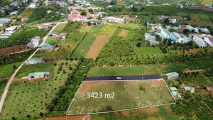 Đất vườn giá rẻ hẻm Lý Thái Tổ Dambri Bảo Lộc Lâm Đồng