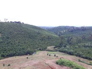 Bán 1,1 ha trung tâm Bảo Lộc hẻm Nguyễn Trãi Lộc Thanh Bảo Lộc