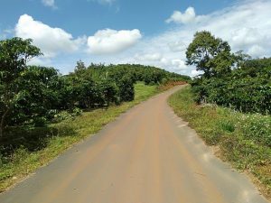 2,3 ha vườn cây ăn trái Lộc Nga Bảo Lộc Lâm Đồng