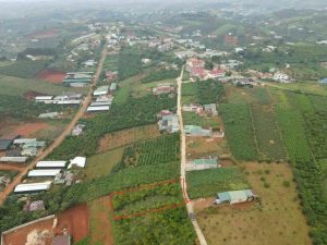 Đất nền biệt thự hẻm Lý Thái Tổ Dambri Bảo Lộc Lâm Đồng