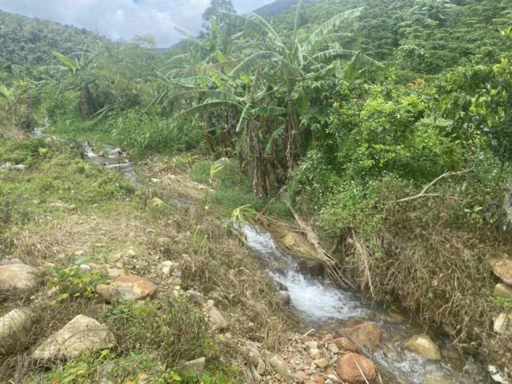 Bán 1 héc vườn siêu đẹp thôn 10 xã Lộc Nam Bảo Lâm Lâm Đồng