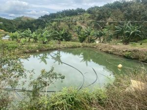 Bán 1 héc vườn siêu đẹp thôn 10 xã Lộc Nam Bảo Lâm Lâm Đồng