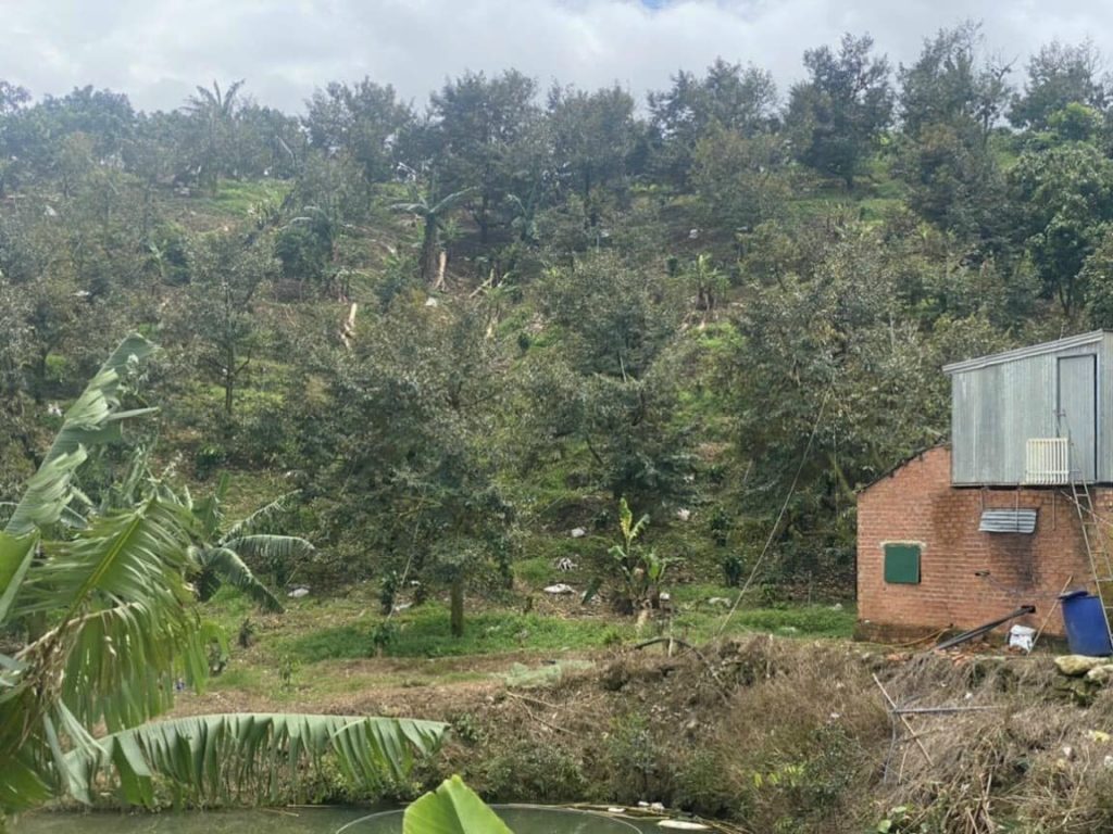 Bán 1 héc vườn siêu đẹp thôn 10 xã Lộc Nam Bảo Lâm Lâm Đồng