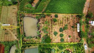 Bán 2.7 Sào vườn hẻm Lý Thái Tổ Dambri Bảo Lộc Lâm Đồng