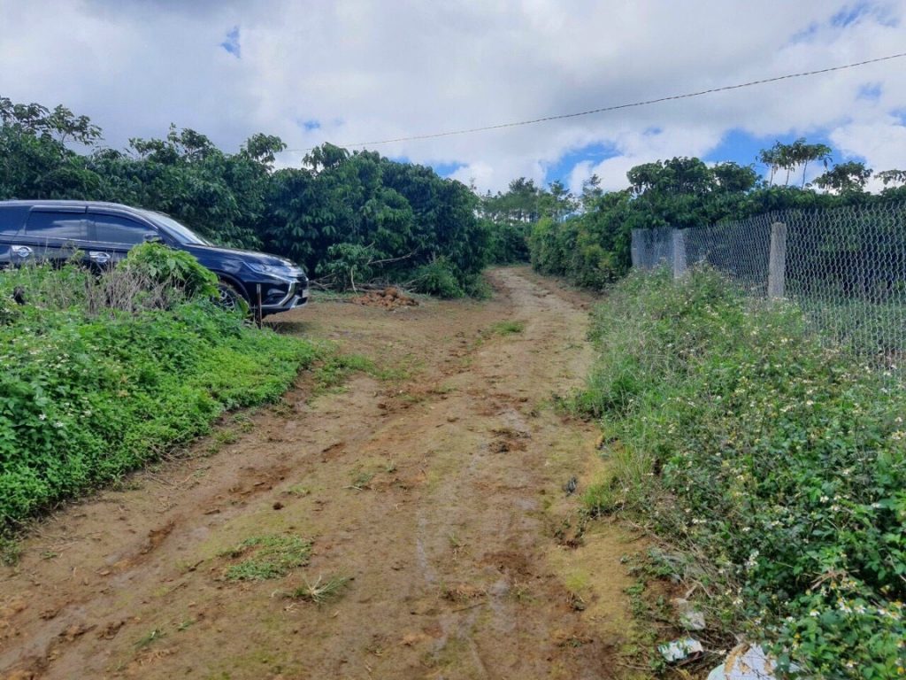 Bán 3,2 sào tại Dambri Bảo Lộc Lâm Đồng